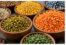 Dal and pulses